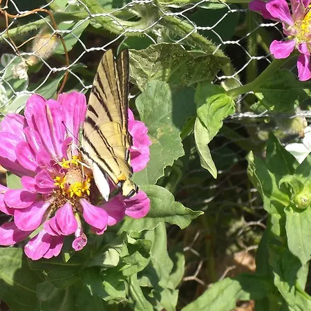 Christina דירה זאלבך הינטרגלם