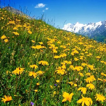 Apartment Christina Saalbach-Hinterglemm