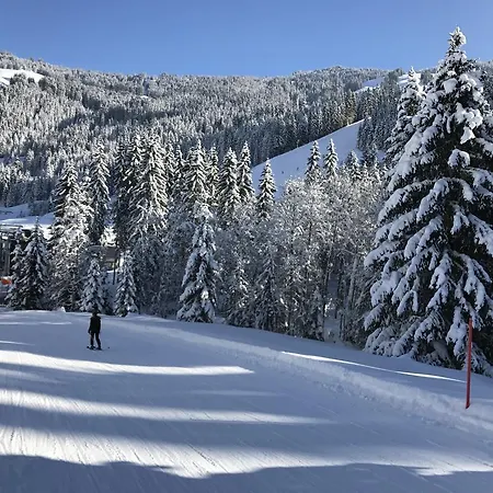 Apartament Christina Saalbach-Hinterglemm